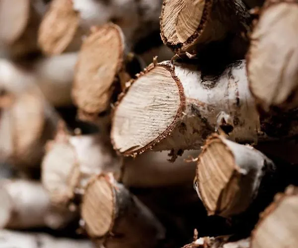 Svizzero קורמאיור